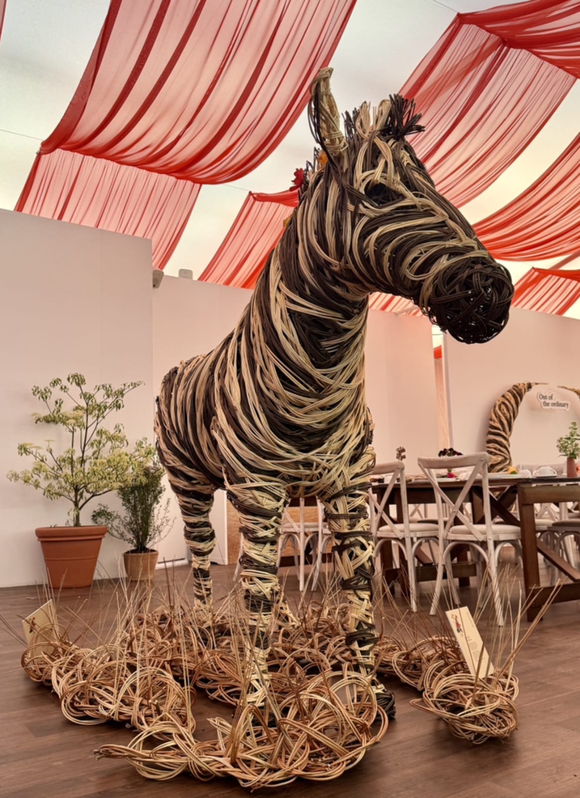 Juliette Hamilton's life-sized willow zebra at Investec's Chelsea Flower Show hospitality, 2026